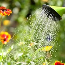 Garden Watering